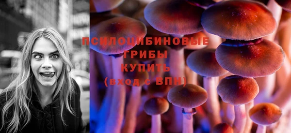 гидра Россошь