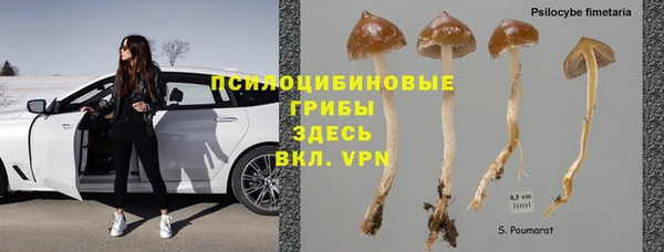 индика Ростов
