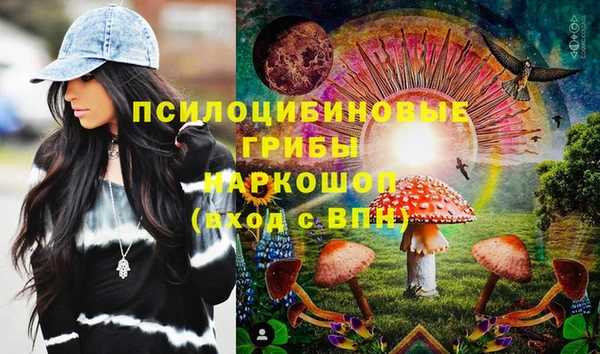 индика Ростов