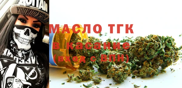 индика Ростов