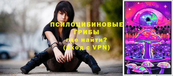 метадон Рославль