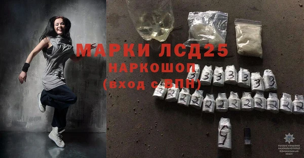 индика Ростов