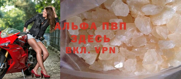 индика Ростов