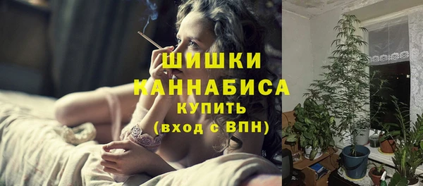 индика Ростов