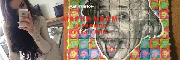 индика Ростов