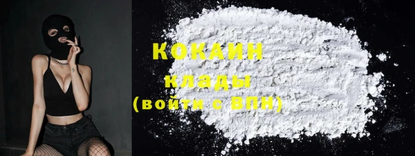 индика Ростов